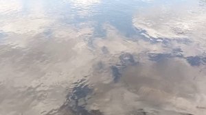 Себино 2 мая у святого источника Матронушки Московской