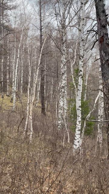 Вид на цирк ручья Бай-Хаак… смотреть онлайн