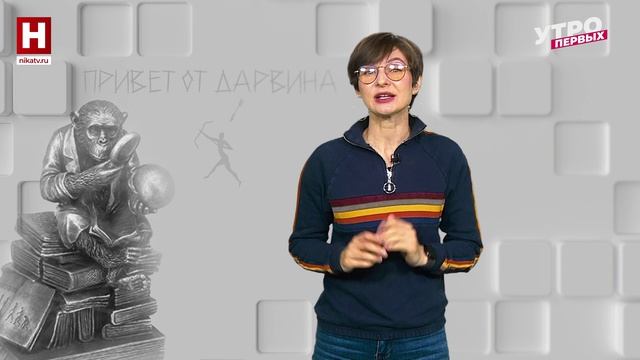 Мода на бег | ПРИВЕТ ОТ ДАРВИНА