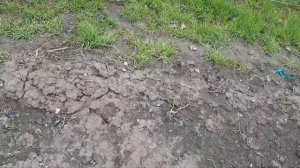 Подставка под ульи . Получилось как и ожидал. Отлично 👍🏻.