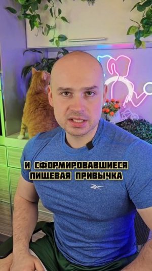 Что делать, если вы хотите есть ночью?