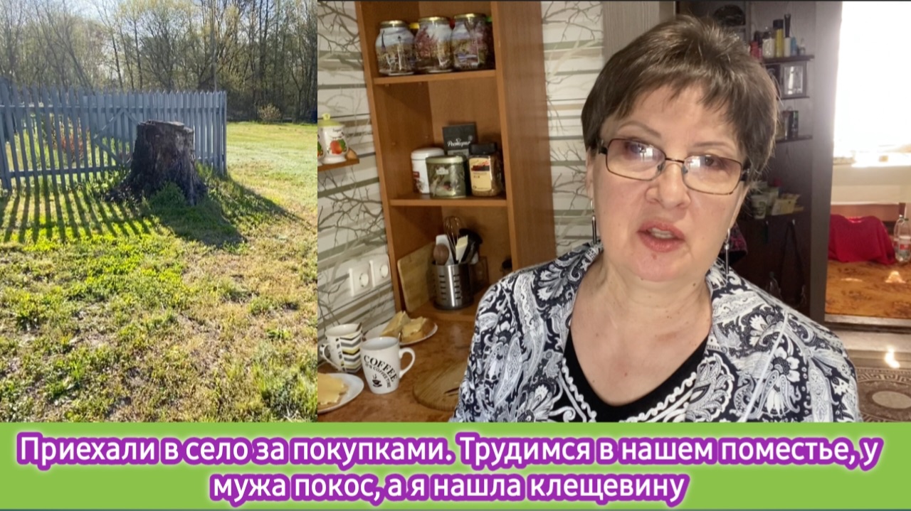 Приехали в село за покупками, трудимся в нашем поместье, у мужа - покос, а я нашла клещевину