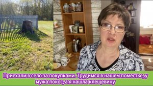 Приехали в село за покупками, трудимся в нашем поместье, у мужа - покос, а я нашла клещевину