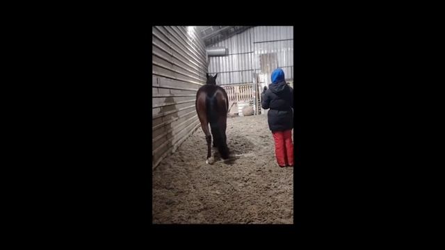 rutube.ru