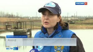 Весенняя бонитировка на Донском осетровом заводе ДОН ТР 27.03.2026