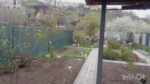 Сегодня 1 мая. Чем занимались.
