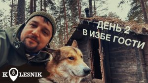 ДЕНЬ 2 Живу в лесной избе ЗВЕРЬ ПРИШЕЛ
