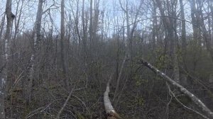Прокачаный творожок