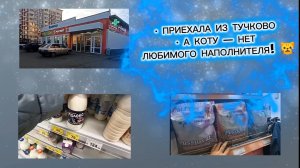 Поездка удалась, болтовня, покупки в Магните, зоомагазин и расстройство из-за кошачьих дел 🐾