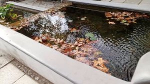 Каскад бассейнов в Нижнем парке Никитского ботанического сада