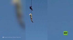 جنوب إفريقيا.. عملية معقدة لانتشال تمساح يحمل رفات بشرية في أمعائه