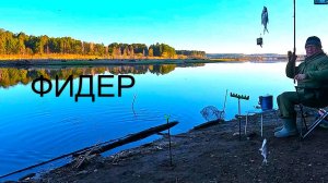 При каждом забросе поклевка.  Удачная рыбалка на фидер на реке.