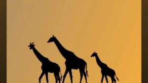 Mapa - Mother Africa
