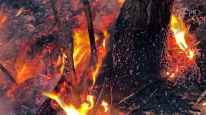 В разгар майских праздников уже горят тысячи гектаров леса, десятки домов и дачных участков.
