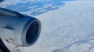 Airbus A321 а/к Turkish Airlines | Рейс Стамбул – Санкт-Петербург