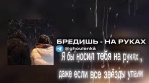 БРЕДИШЬ-на руках