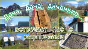 дача встречает нас с сюрпризами(после зимовки)