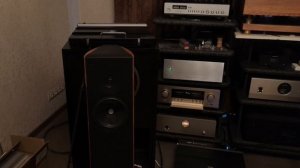 Sonus Faber Concerto Domus + Accuphase E-408
