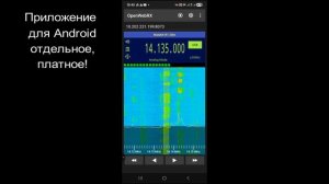 R1 на природе