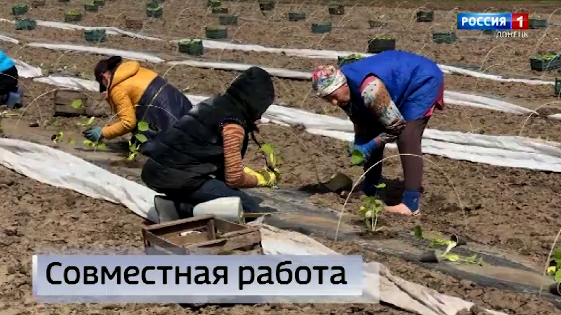 Продолжаем рассказывать о национальностях, проживающих на территории нашего региона смотреть онлайн