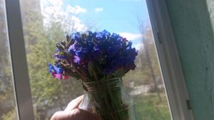 Я дома  КОФИЕК  ПОПЬЁМ  ПОБОЛТАЕМ