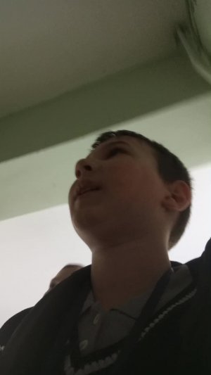 67