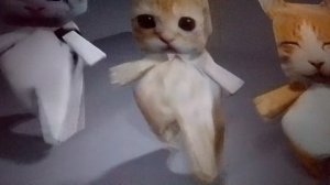 ЧТО ДЕЛАЮТ КОТЫ ПОКА ХОЗЯЕВ НЕТ ДОМА.