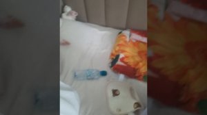 ко мне снова пришла подружка со своим сыночком