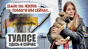 ТУАПСЕ - ШАНС НА ЖИЗНЬ, ПОМОГИ ИС СЕЙЧАС... военкор Марьяна Наумова, 03 мая 2026