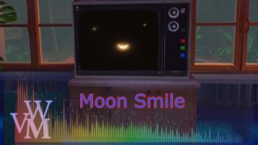 VWMusic - Moon Smile (видеоклип)