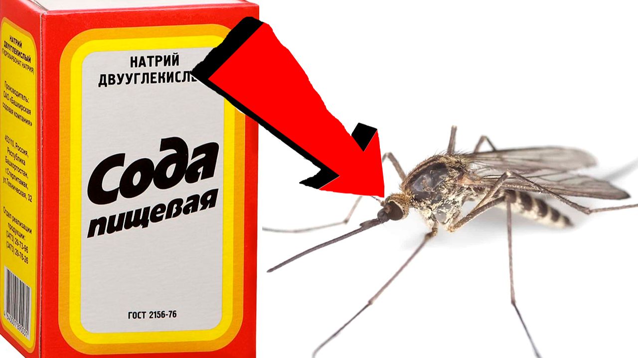 Как избавиться от комаров За 3 Секунды!