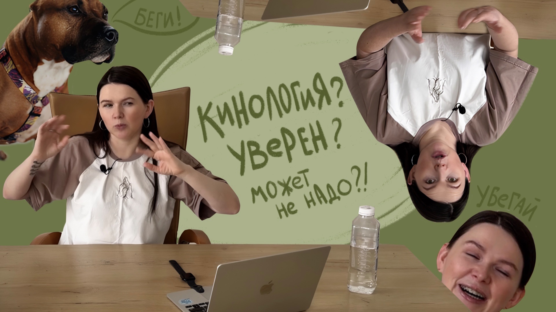 Кинология: ожидание Vs реальность
