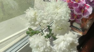4 мая магический ☀️ прогноз погоды от волшебника Ивана Ивановича Кулебякина из Москвы