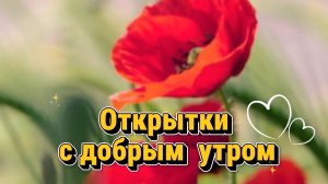 Доброе утро: красивые открытки и пожелания доброго утра | Домохозяйка