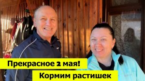 Прекрасное 2 мая! Кормим все растения