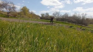 Посадка картофеля