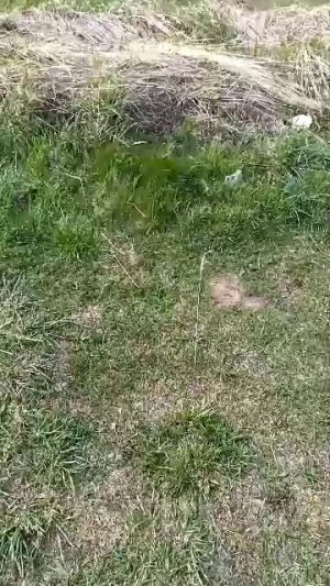 на Волге