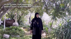 ЛЮДИ СВЯТОЙ ЗЕМЛИ׃ ЦВЕТНАЯ ТРИОДЬ ГЕФСИМАНИИ и ИУДЕЙСКАЯ ПУСТЫНЯ