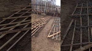 пробежались по участку