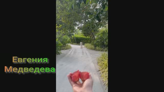 Евгения Медведева