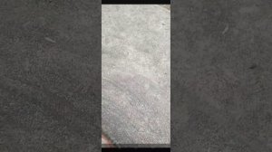 Мем пистолет летит 1 час