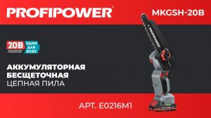 Аккумуляторная бесщеточная цепная пила PROFIPOWER MKGSH-20B Арт.: E0216M1