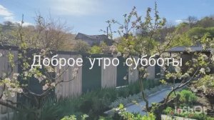Дачные дела. Поговорим на чистоту...