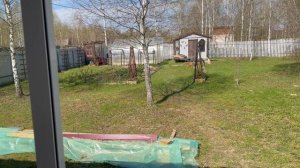 Вспомнила про клубнику. Все крашу))). Первый закат на террасе