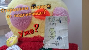Открываем подарок от подписчицы.