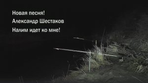 Александр Шестаков - Налим идет ко мне (Remix)