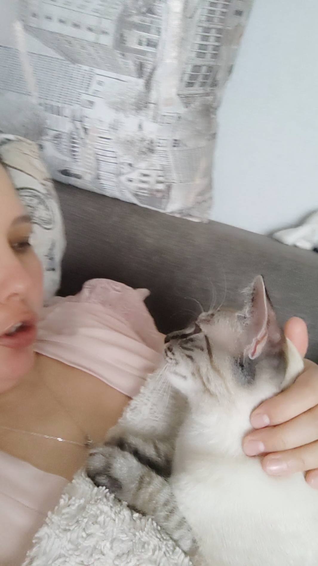 😸КОШАЧЬЯ ЗАБАСТОВКА🤪 НАРУШЕНИЕ КОШАЧИХ СОЦИАЛЬНЫХ НОРМ🤬 #кот #забастовка #еда #смешныекоты #short