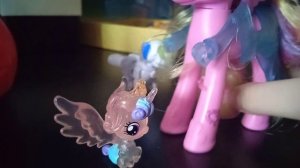 VID_20260428_114113.mp4