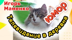 СМЕХ ДО СЛЁЗ! Кошки с озвучкой.