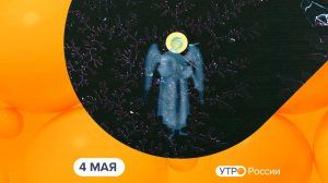Утро России. Калуга (04.05.2026)
